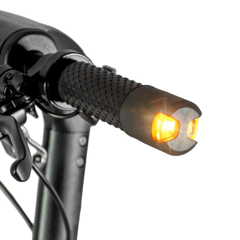 Trottinette électrique 600W - XT81 — photo 7