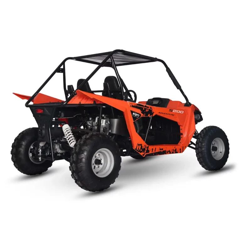 S200 Buggy — photo 2