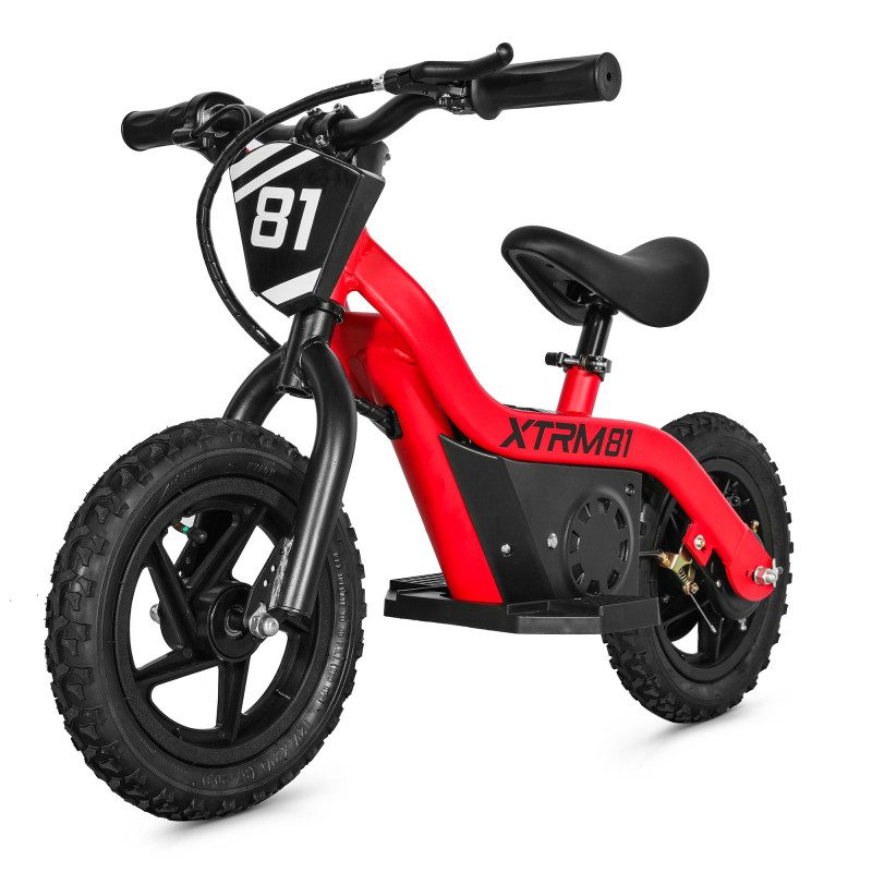 Draisienne électrique enfant DX12 24V 100W — photo 3