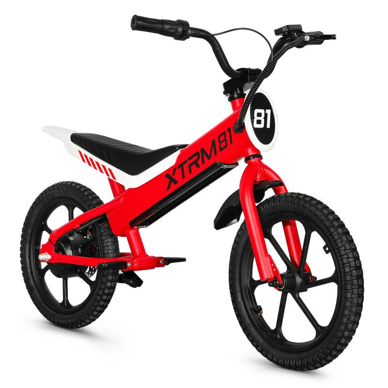 Draisienne électrique enfant DX16 36V 350W — photo 2