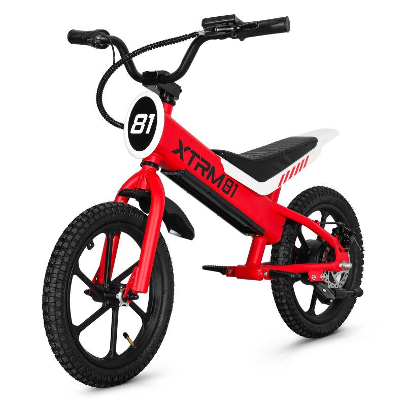Draisienne électrique enfant DX16 36V 350W — photo 3