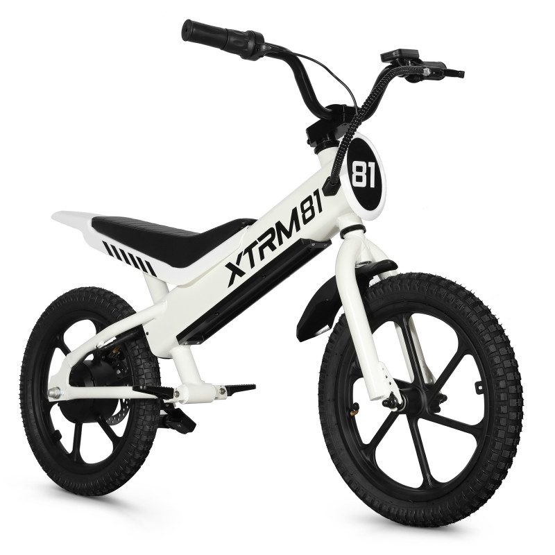 Draisienne électrique enfant DX16 36V 350W — photo 9