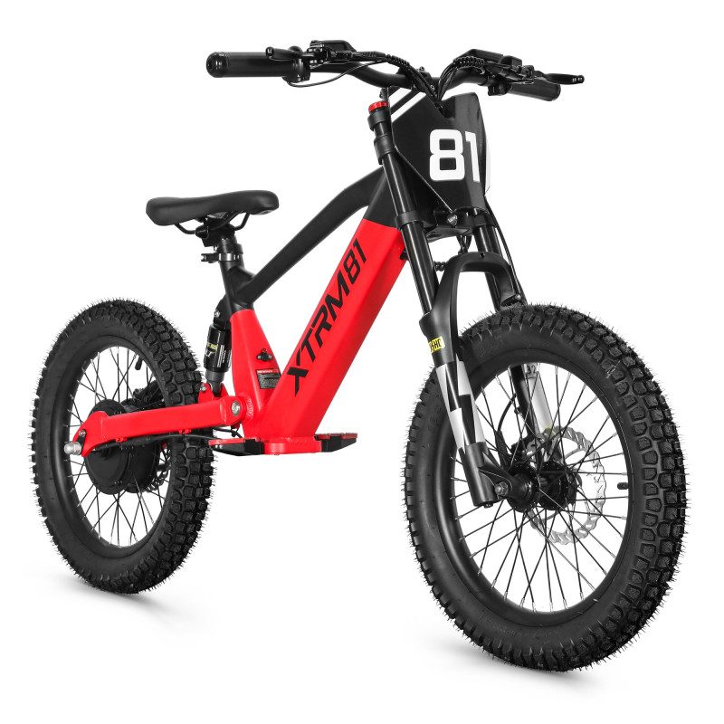 Draisienne électrique enfant DX18 36V 500W — photo 2