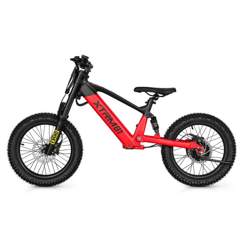 Draisienne électrique enfant DX18 36V 500W — photo 4