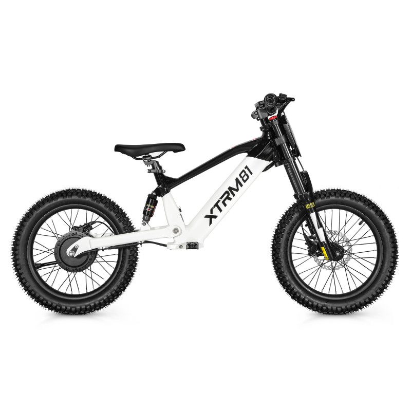 Draisienne électrique enfant DX18 36V 500W — photo 7