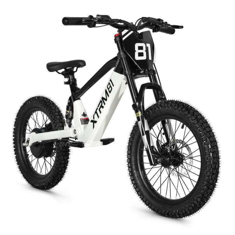 Draisienne électrique enfant DX18 36V 500W — photo 8